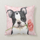 Search for boston terrier valentine home living puppy