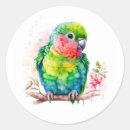 Search for blue parrot stickers Exotic