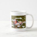 Search for mandarin ducks mugs Waterfowl