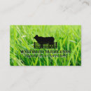 Recherche de élevage cartes visite Vache