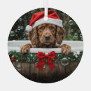 Search for irish setter ornaments Cute