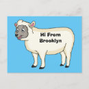 Recherche de moutons cartes postales Dessin