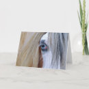 Recherche de gitan Chevaux