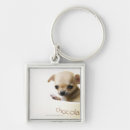 Search for inside square keychains Studio shot
