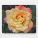 Recherche de hybride tapis souris Nature