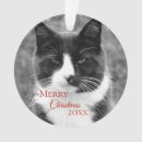 Search for black and white dog ornaments Merry christmas