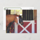 Recherche de stable cartes postales Chevaux