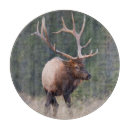 Recherche de montagnes planches à découper Bois