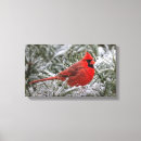 Recherche de cardinal painting toiles Hiver