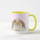 Search for pet rabbit mugs Sweet