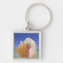 Search for pictures of shells keychains Conch shell