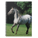 Search for horse notebooks Bob langrish