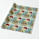 Search for cockapoo wrapping paper Puppy