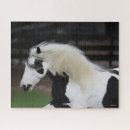 Search for gypsy vanner horse puzzles Headshot