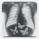 Search for composite labels Butterfly
