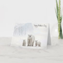 Search for polar bear cub cards Wildlife