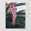 Search for pink flowers postcards happy birthday