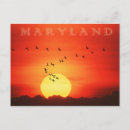 Search for migrator postcards Goose