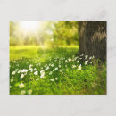 Search for create postcards Photography