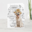 Search for straws cards Golden retriever