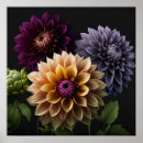 Recherche de dahlia posters Fleurs