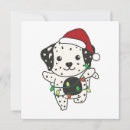 Search for dalmatian lover cards Dalmatians
