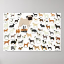 Search for breed posters Dog