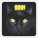 Search for spooky black cat stickers Party