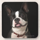 Search for collar coasters Nature