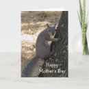 Search for squirrel mothers day cards Nature