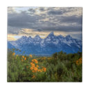 Recherche de teton grand carreaux Nature