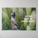 Search for appointments posters Funny