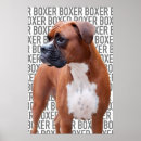 Recherche de de boxe posters Portrait