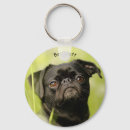 Search for pugs keychains Black pug