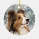 Search for sheltie ornaments Dog