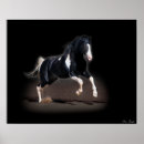Recherche de cheval occidental posters Chevaux