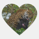 Search for black panthers stickers Jaguar