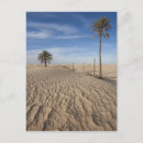 Search for douz Great dune
