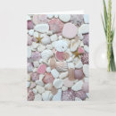 Search for beach shells photo cards Starfish