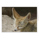Recherche de renard fennec cartes postales Renards