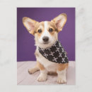 Recherche de skull posters Canine