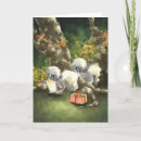 Search for skunk cards Animals