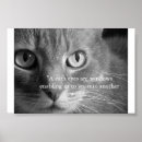 Search for eye posters Cats