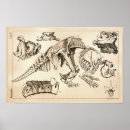 Recherche de fossile posters Vintage