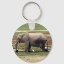Search for elephant trunks keychains Safari