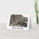 Recherche de anniversaire viking Norway