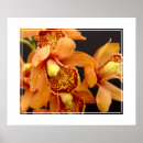 Recherche de orchidée posters Maison