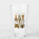 Search for steampunk glasses mugs Octopus