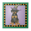 Recherche de halloween” home accents Sorcière