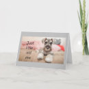 Search for schnauzer birthday cards Dog